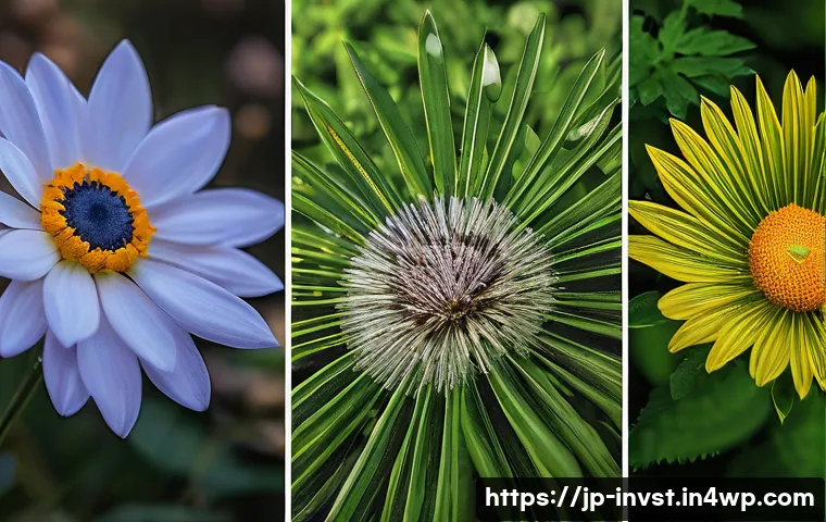 투자자 행동의 비합리성 이해하기 - Here are three detailed image prompts for generating images: